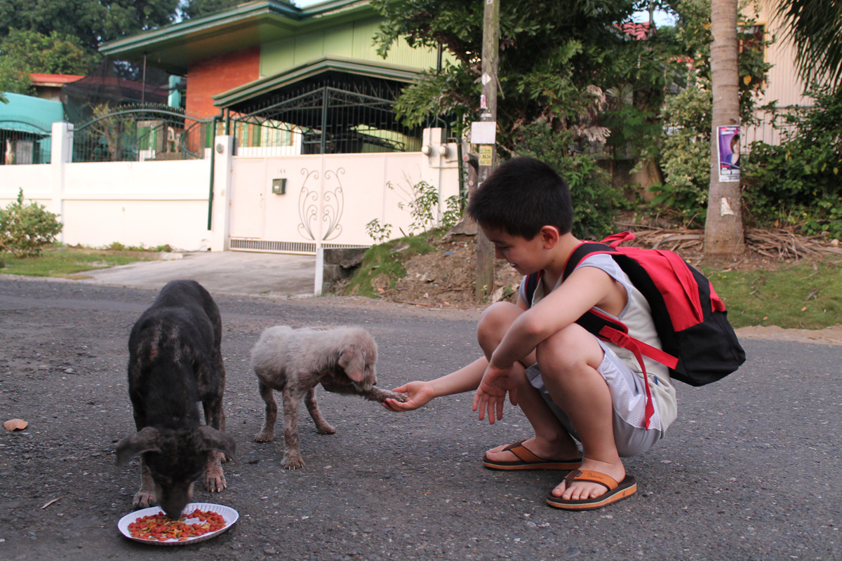 Ребенок кормит собаку