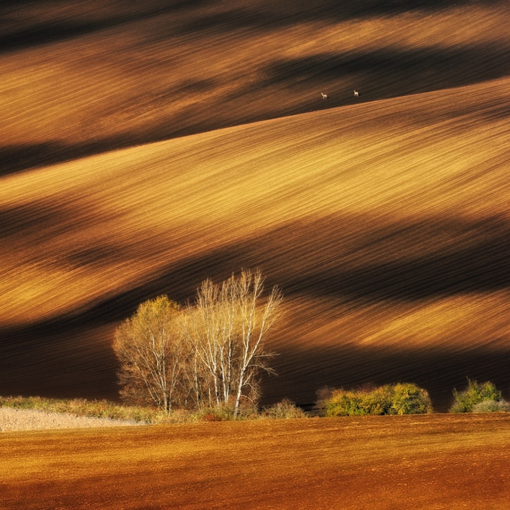 100 лучших фотографий