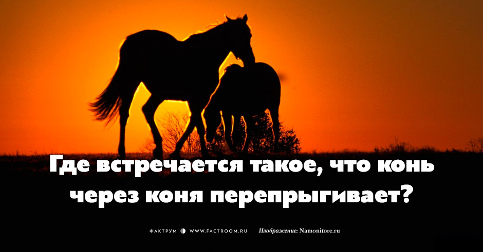 Где встречается такое что конь. Конь через коня перепрыгивает. Где встречается такое что конь через коня перепрыгивает. Загадка где встречается такое что конь через коня перепрыгивает. Конь через коня перепрыгивает ответ на загадку.