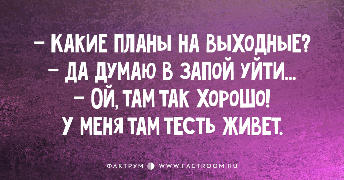 Планы на выходные. Запой юмор. В запое хорошо у меня там тесть живет. Уйду в запой там хорошо. Планы на выходные: уйти в запой.