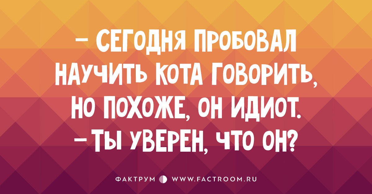 Говорите похож. Идиоты уверены. Кота учат говорить. Он идиот.