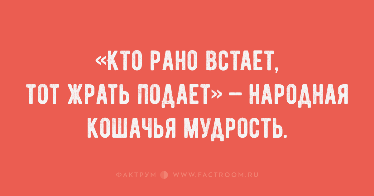 Кому бог подает. Кто рано встаёт тому Бог подаёт прикол. Кто рано встаёт тому Бог подаёт прикол картинки. Гиф кто рано встает тому Бог подает. Кто рано встаёт тому Бог подаёт угловой.