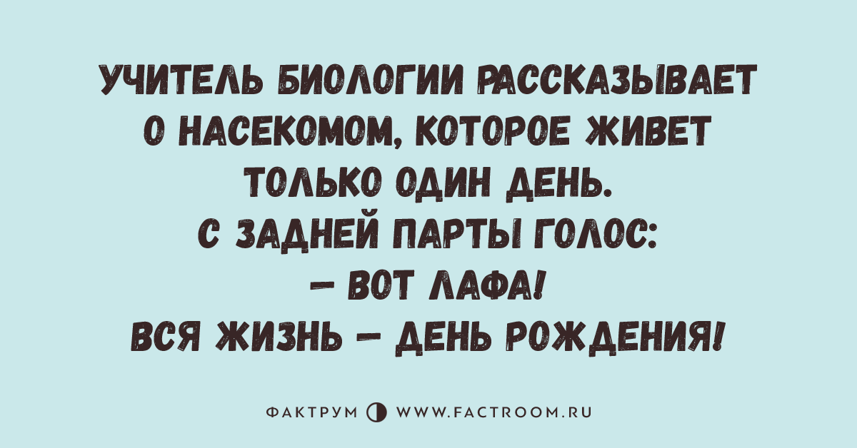 Топ анекдотов. 10 Анекдотов. 10 Самых смешных анекдотов. 10 Смешных шуток. Фактрум смешные истории.