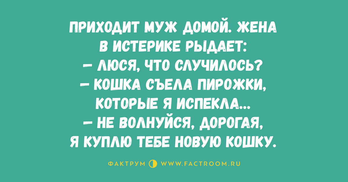 Привести мужа домой. Жена истерит. Жена истеричка прикол. Анекдоты про истеричек. Женат на истеричке.