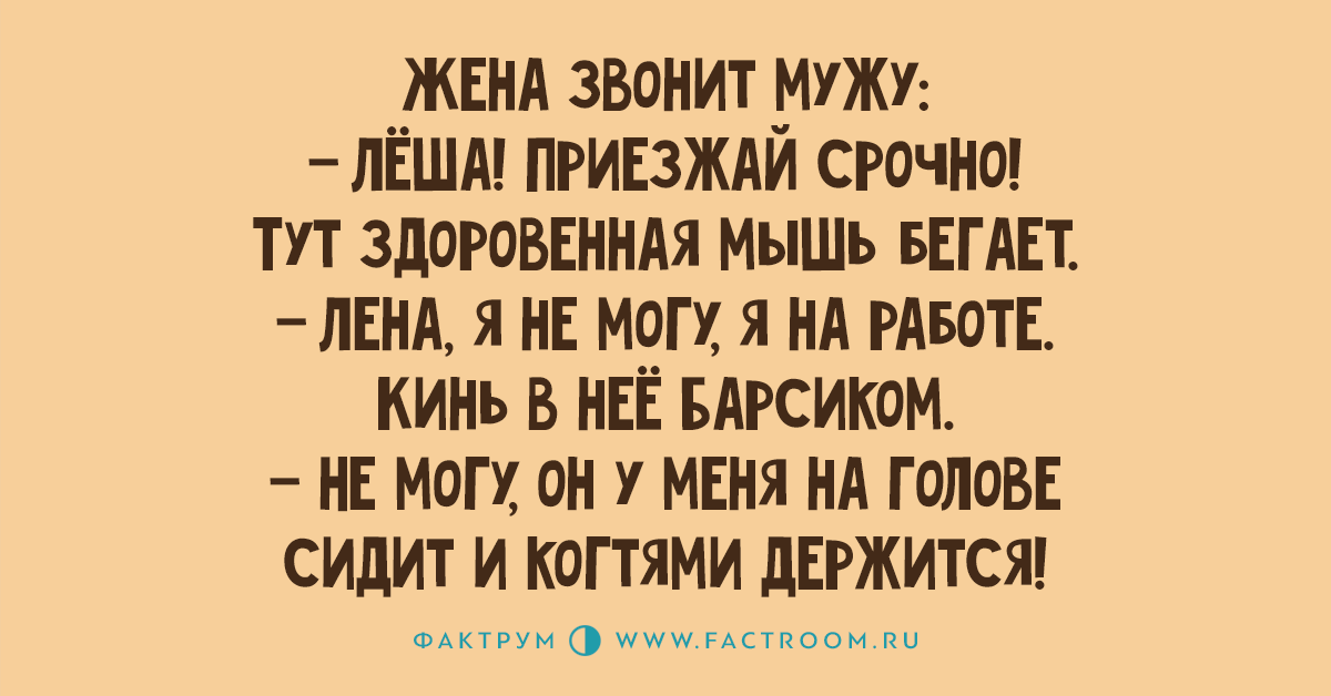 Жена звонит. Анекдоты про Лену и Лешу. Приколы про Лешу и Лену. Леша и Лена приколы. Лена плюс Леша.