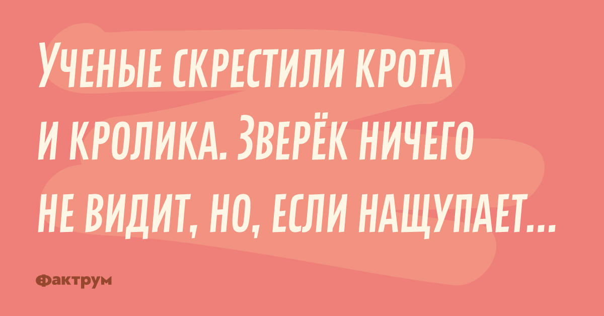 Ученые скрестили. Ученые скрестили крота и кролика. Учёные скрестили крота и кралика. Анекдот про кролика и крота.