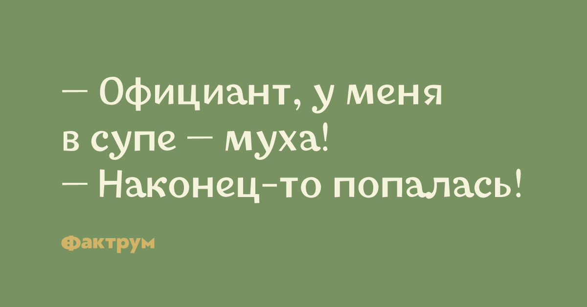 Что означает муха в супе