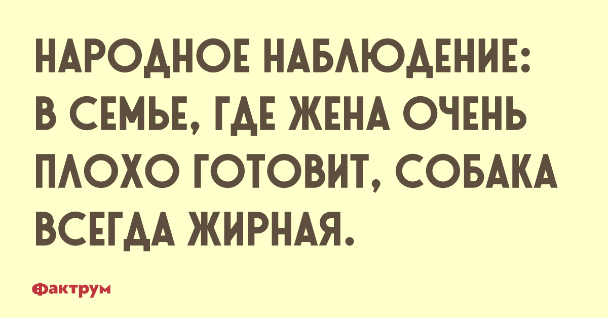 Куда жене. В семье где жена плохо готовит собака всегда. Где жена плохо готовит собака толстая. В семье жена готовит собака жирная. У плохой хозяйки собака жирная.