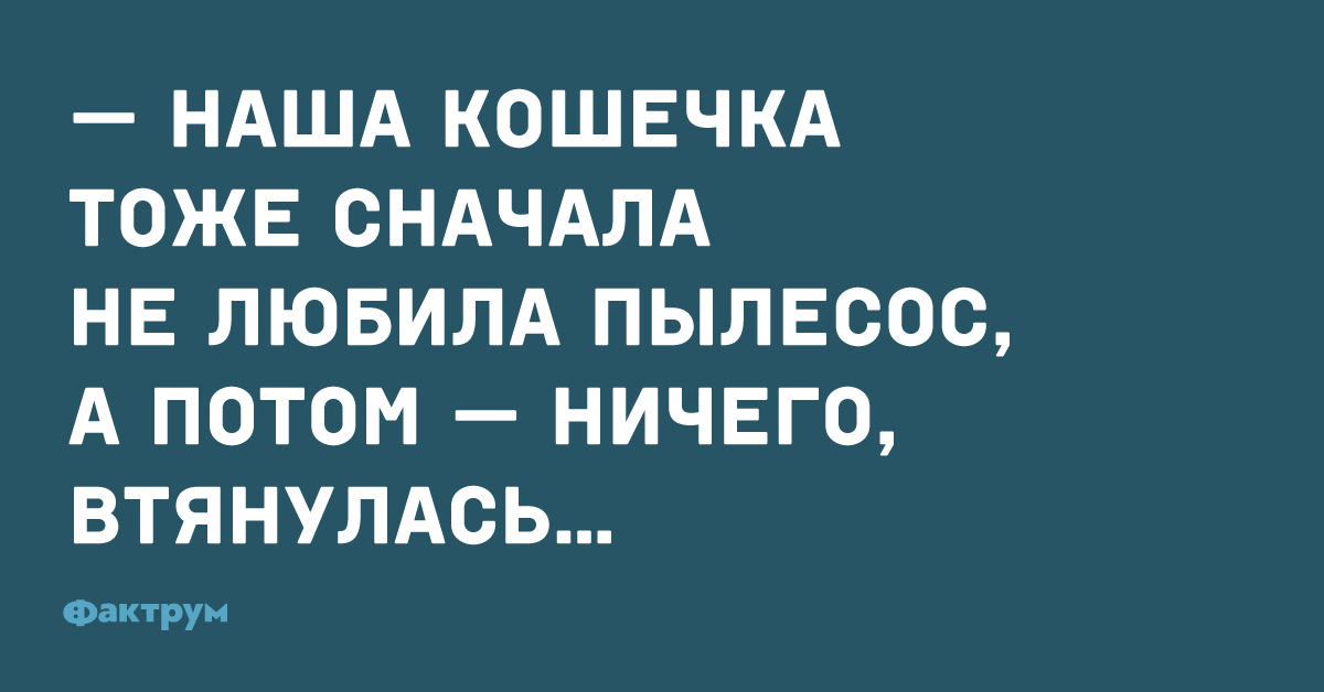 Сначала тоже. Кошка сначала боялась пылесоса а потом ничего втянулась. Кошка не любила пылесос потом ничего втянулась. Нашей кошечке тоже сначала не понравился пылесос. Анекдот про кошку и пылесос.