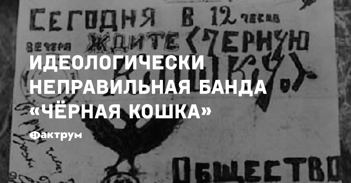 Банда черная кошка реальная история фото преступников