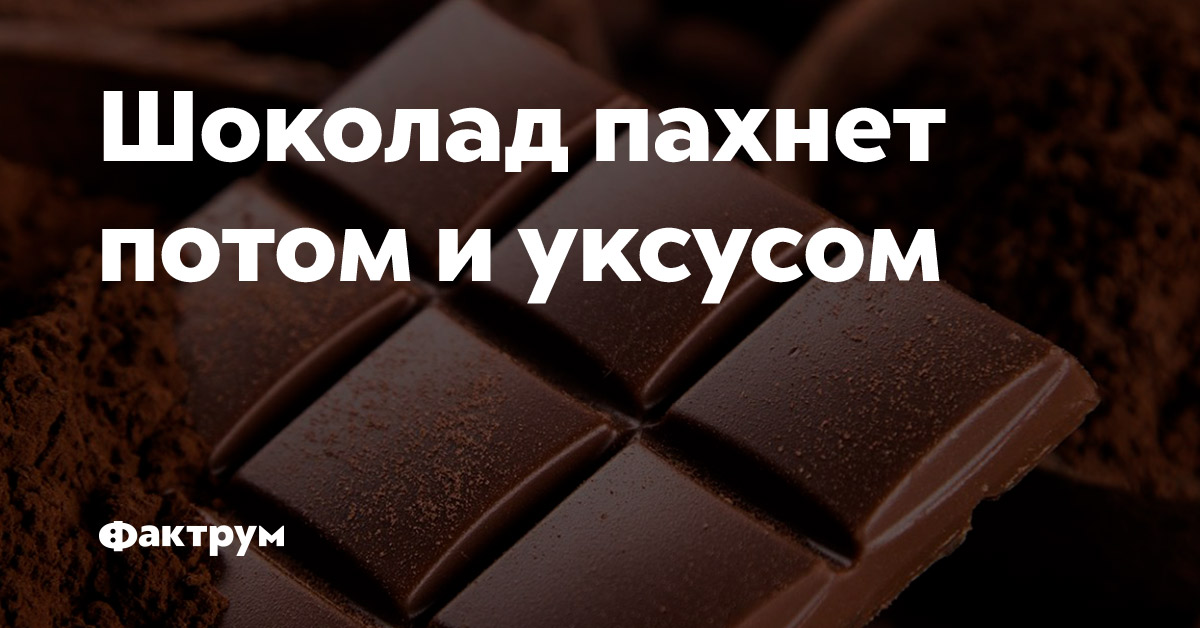 Всегда пахнуть. Шоколад пахнет. Вонючий шоколад. Вонючая шоколада вонючая шоколада. Как пахнуть шоколадом.