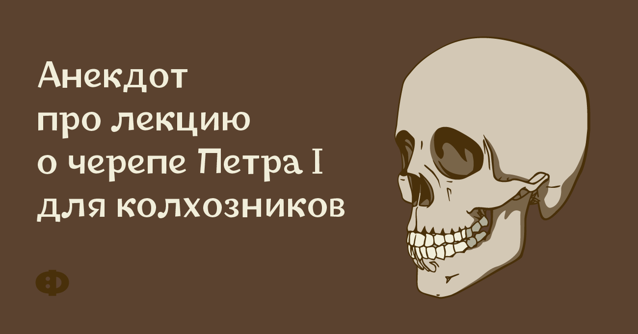 Шутки про лекции. Анекдот про череп. Анекдот лекция для колхозников.