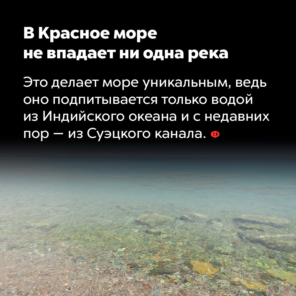 Не впадает ни одна. В красное море не впадает ни одна река. Что впадает в красное море. Реки впадающие в красное море. Красное море цитаты.