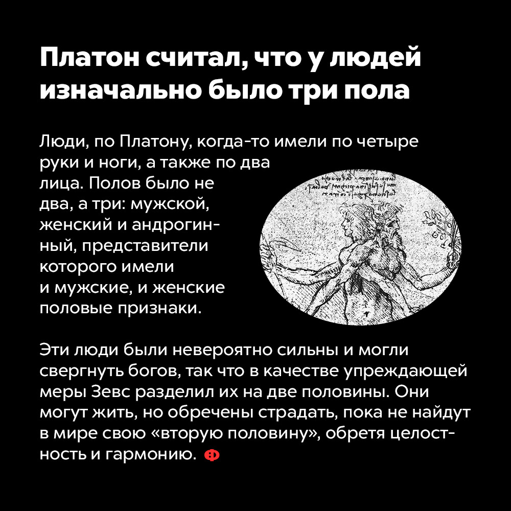 Есть даже не два а три типа людей картинки