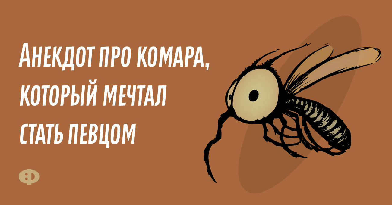 День комара. Комар прикол. Анекдоты про комаров. Анекдот про комара. Всемирный день комара.