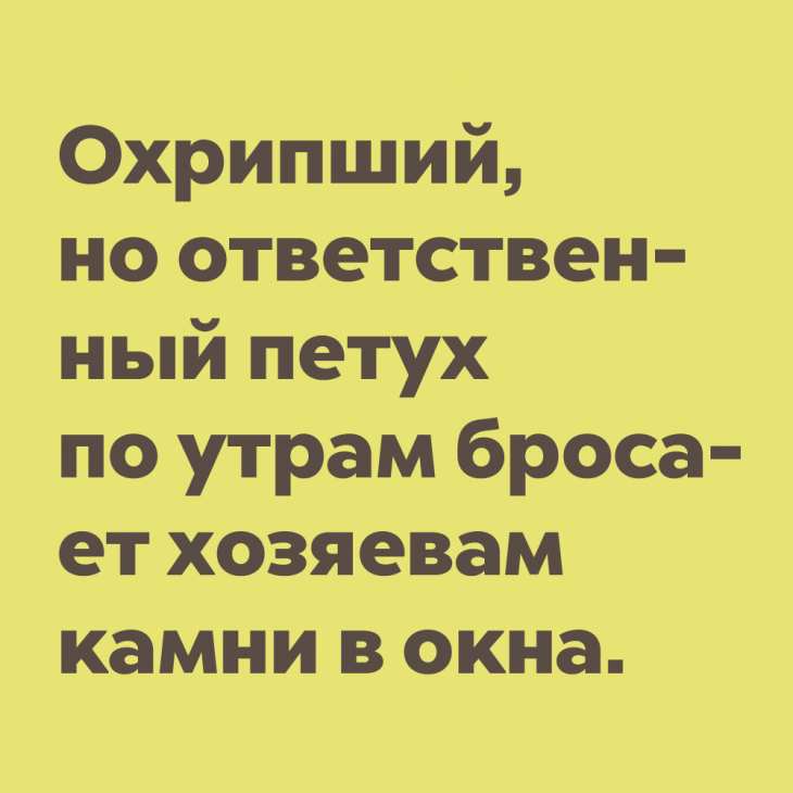 Анекдот далеко. Анекдот про соседку. Анекдот про соседку Машу.