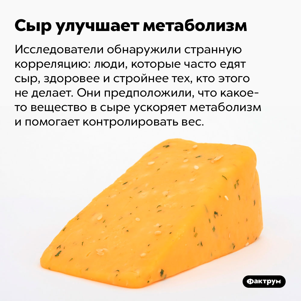 Кысыл сыр вилюйский фото