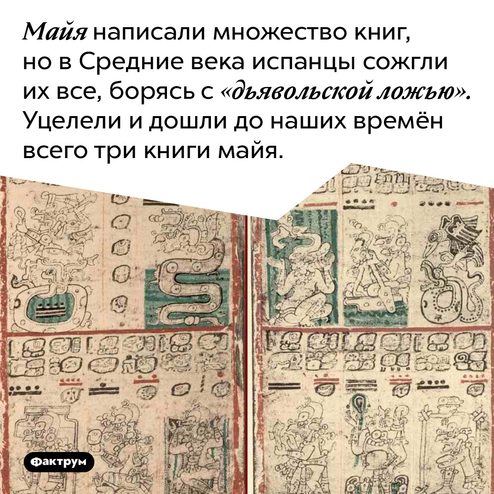 О чем книга мексиканская готика