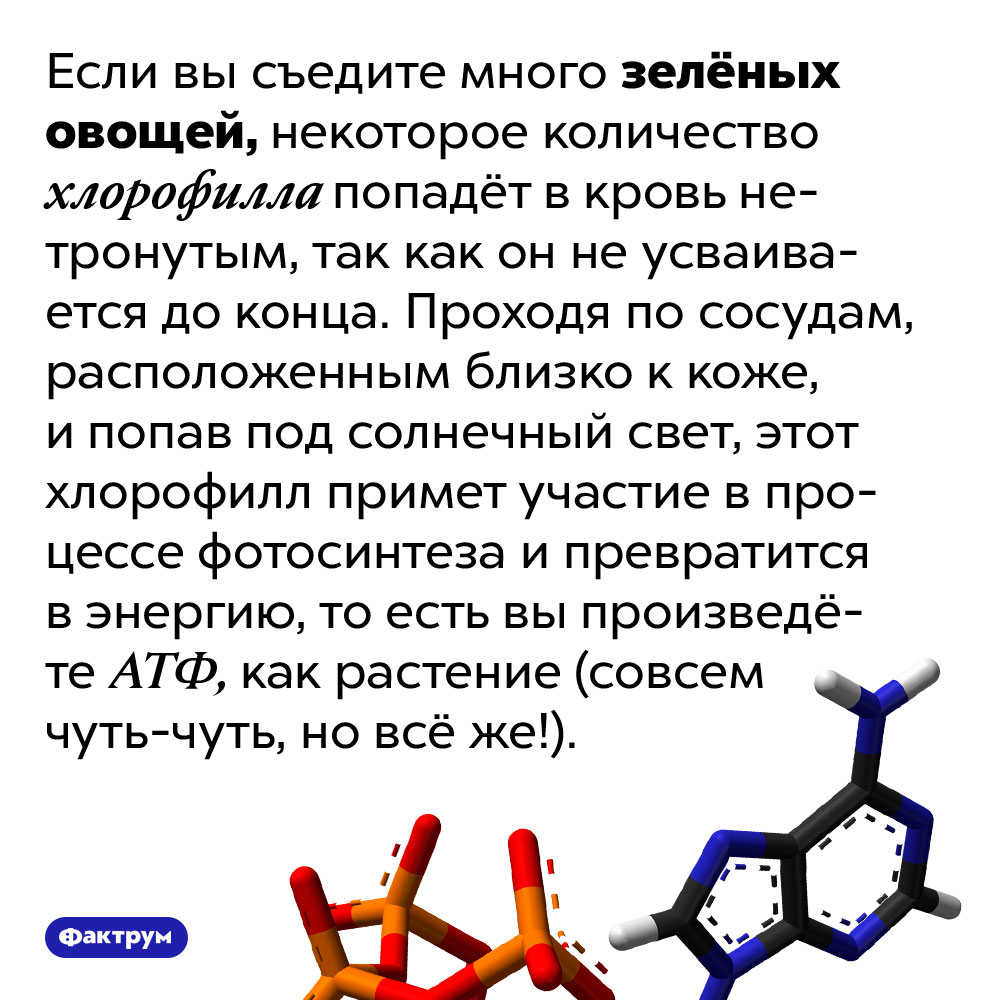 Определи и сопоставь с изображением вещества участвующие в фотосинтезе кислород и вода ответ на тест