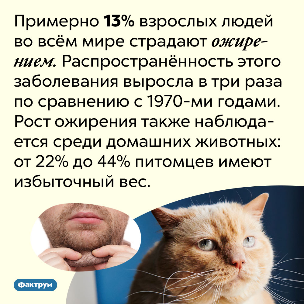 Стул 2 раза в день у взрослого это нормально или нет