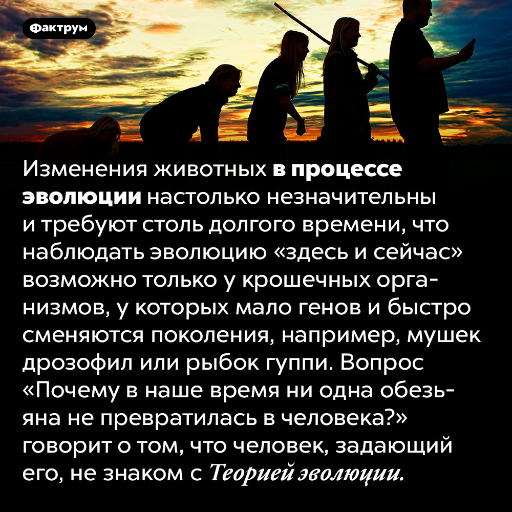 Посудите как все таки обидно и горько почему например жизнь дается человеку только один раз