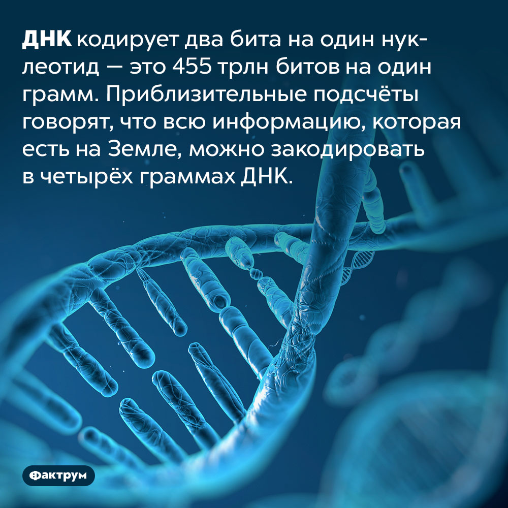 Как называется информация не существующая в реальности имитация с помощью компьютеров