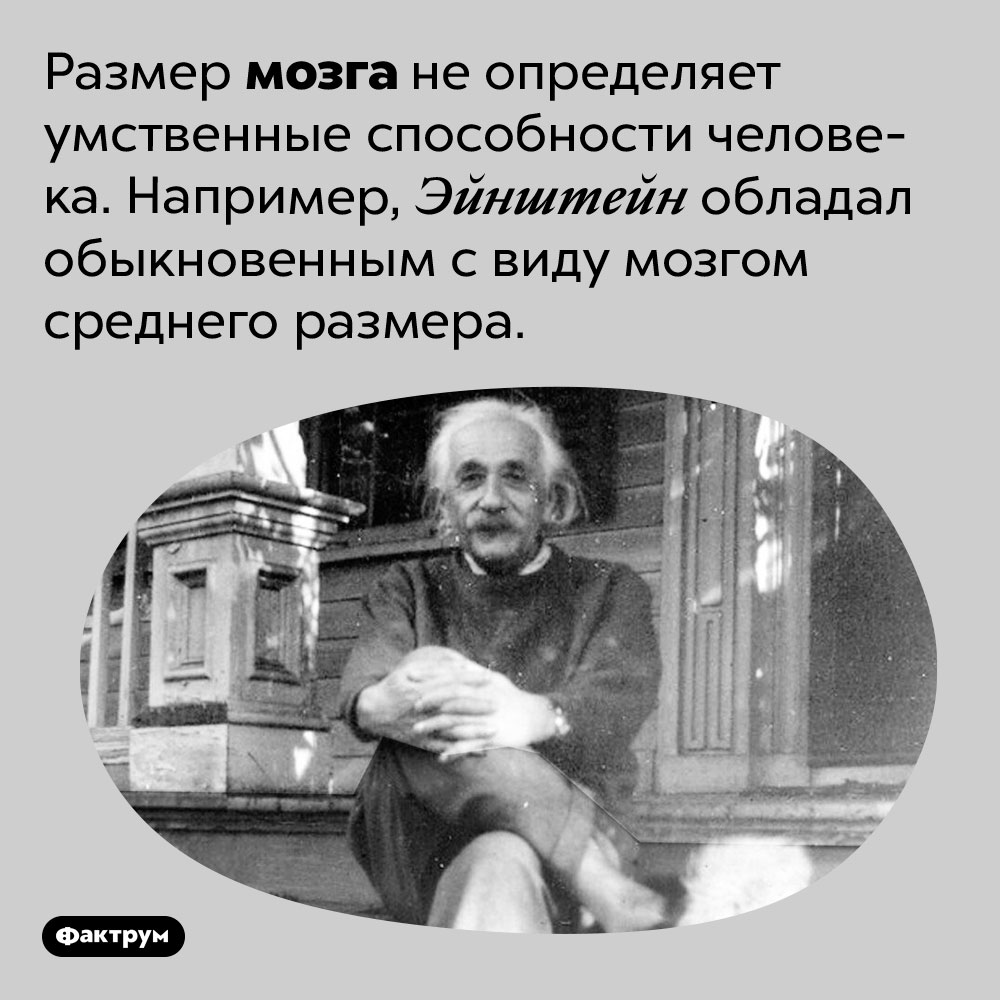 Размер мозга не определяет умственные способности человека. Например, Эйнштейн обладал обыкновенным с виду мозгом среднего размера.