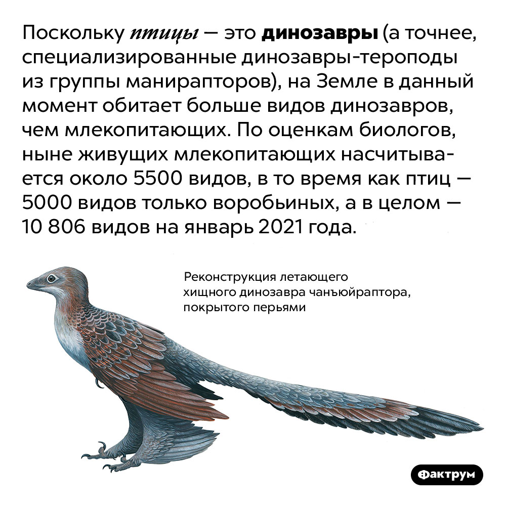 Отметь на схеме промежуток времени в течение которого на земле обитали динозавры