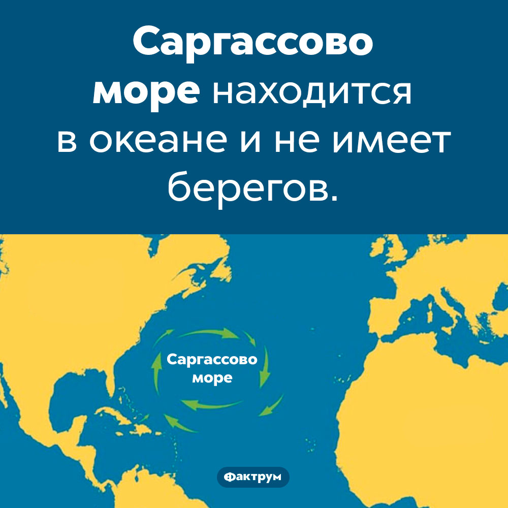 Море не имеющие побережье. Саргассово море в Атлантическом океане. Саргассово море на карте. Где находится Саргассово море. Где находится саргасовоморе.