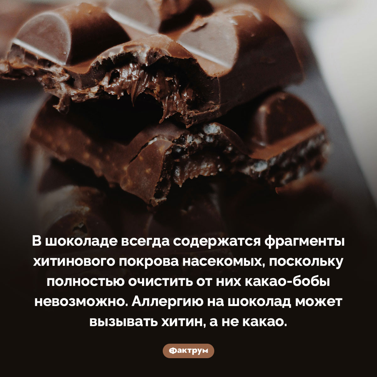 Насекомые в шоколаде. В шоколаде всегда содержатся фрагменты хитинового покрова насекомых, поскольку полностью очистить от них какао-бобы невозможно. Аллергию на шоколад может вызывать хитин, а не какао.