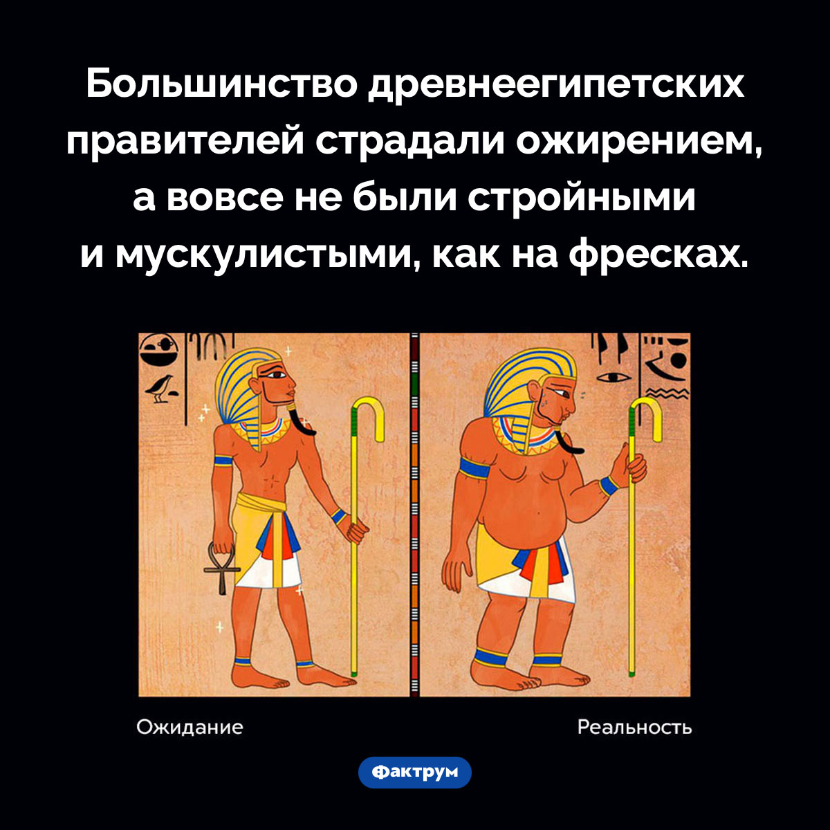 Фараоны были толстыми. Большинство древнеегипетских правителей страдали ожирением, а вовсе не были стройными и мускулистыми, как на фресках.