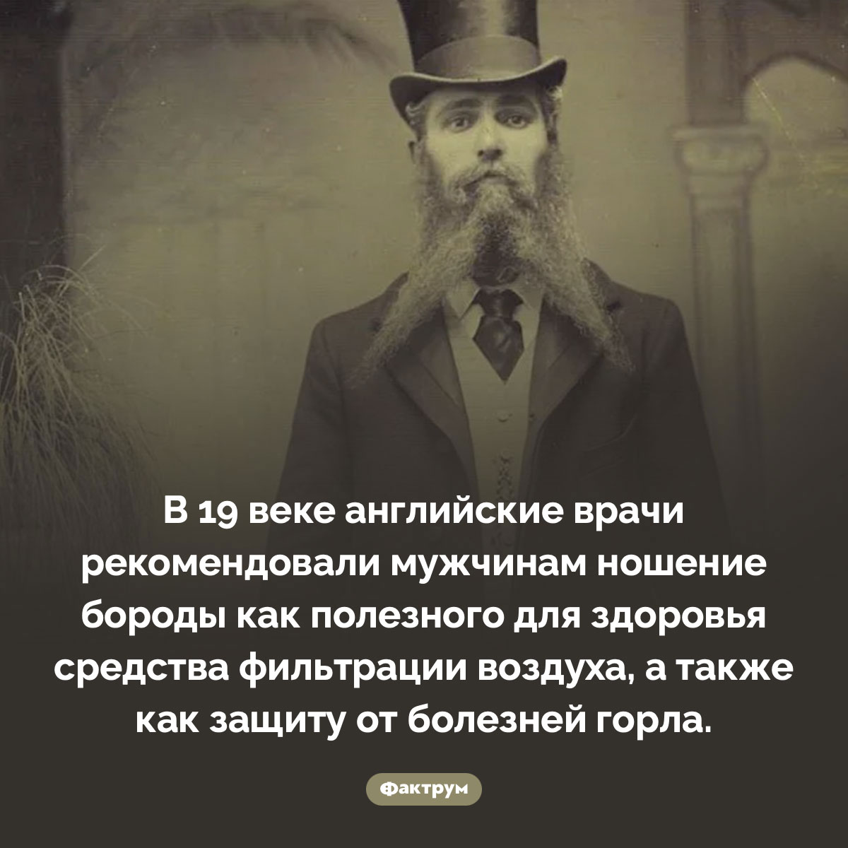 Зачем врачи рекомендовали мужчинам бороду. В 19 веке английские врачи рекомендовали мужчинам ношение бороды как полезного для здоровья средства фильтрации воздуха, а также как защиту от болезней горла.