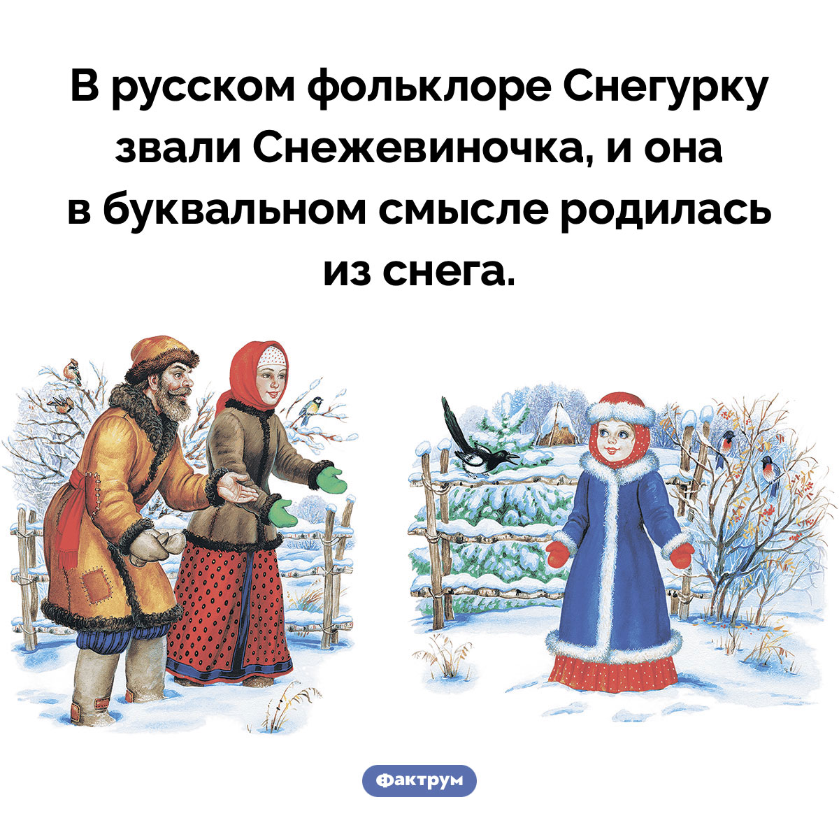 Кто такая Снежевиночка. В русском фольклоре Снегурку звали Снежевиночка, и она в буквальном смысле родилась из снега.