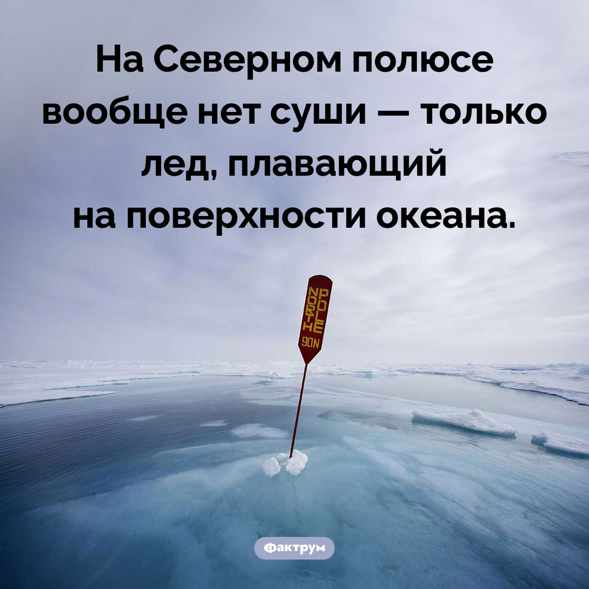 На Северном полюсе нет суши. На Северном полюсе вообще нет суши — только лед, плавающий на поверхности океана.