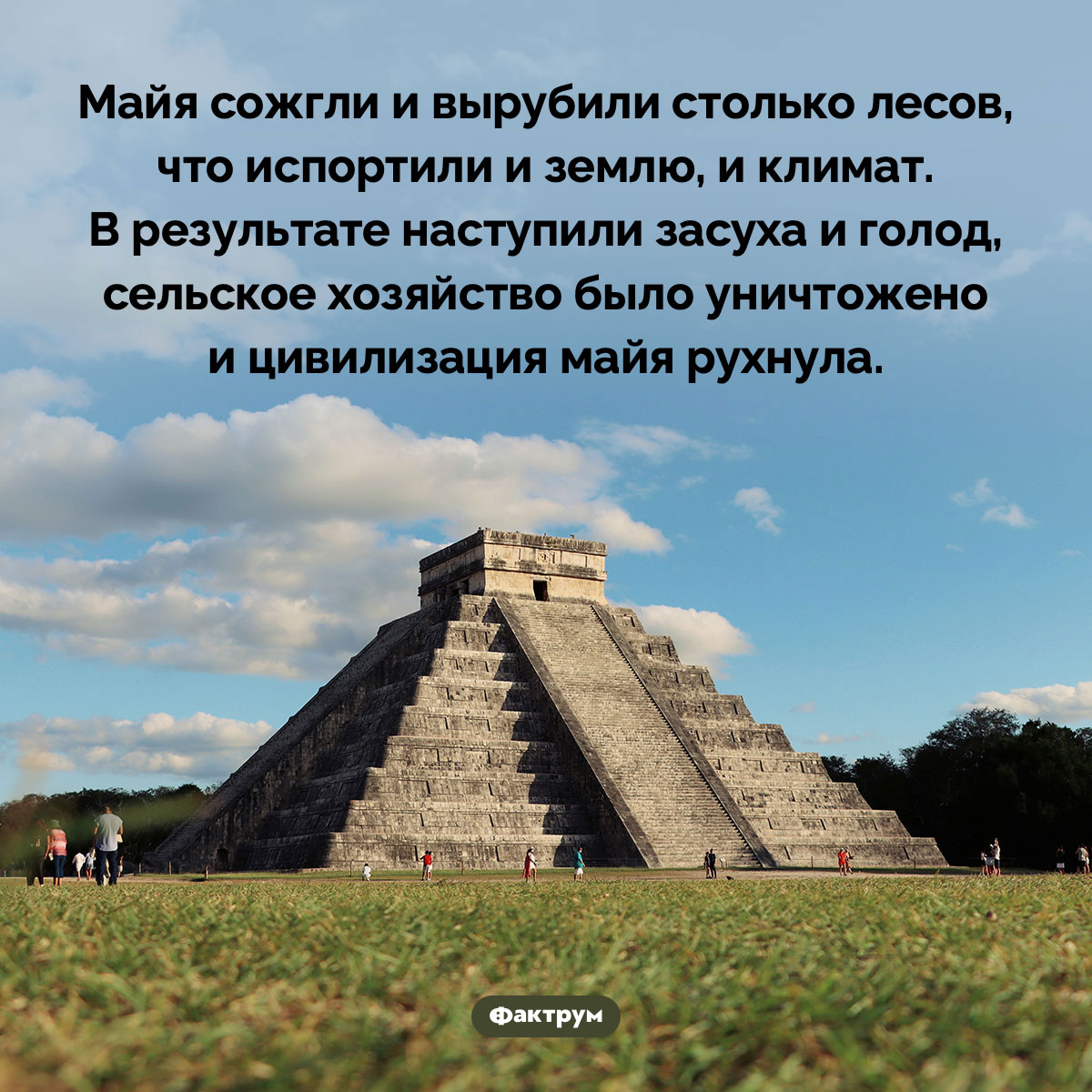 Почему цивилизация майя рухнула? Майя сожгли и вырубили столько лесов, что испортили и землю, и климат. В результате произошли засуха и голод, сельское хозяйство было разрушено и цивилизация майя рухнула.