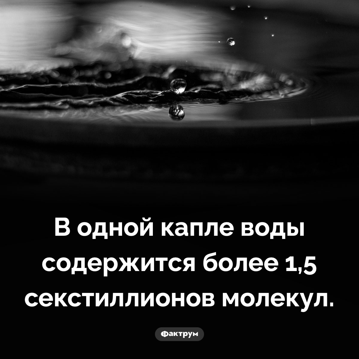 Сколько молекул в капле воды. В одной капле воды содержится более 1,5 секстиллионов молекул.