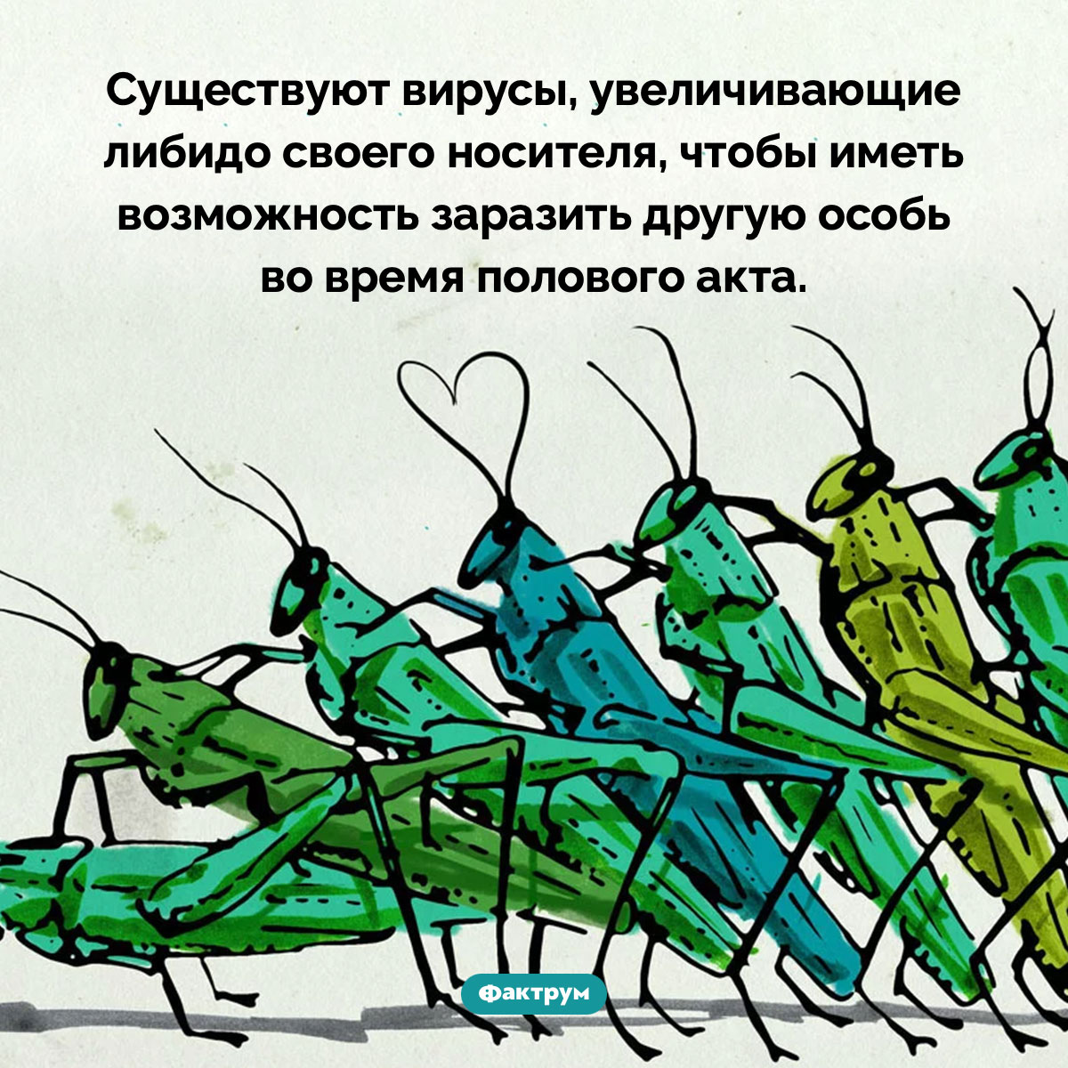 «Вирусные афродизиаки». Существуют вирусы, увеличивающие либидо своего носителя, чтобы иметь возможность заразить другую особь во время полового акта.