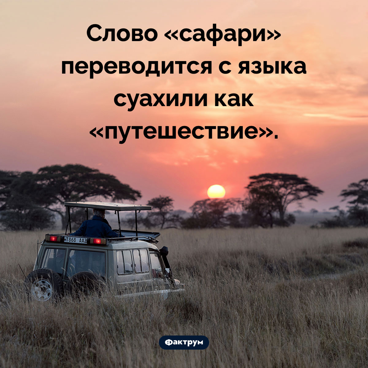 Как переводится слово «сафари». Слово «сафари» переводится с языка суахили как «путешествие».