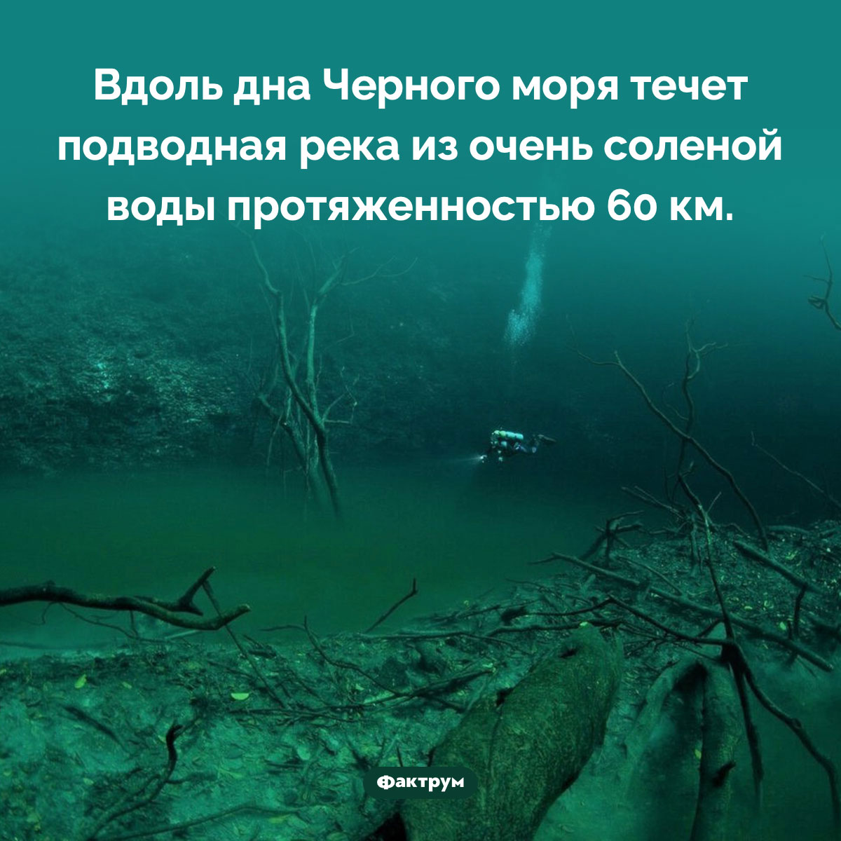 Подводная река на дне Черного моря. Вдоль дна Черного моря течет подводная река из очень соленой воды протяженностью 60 км.