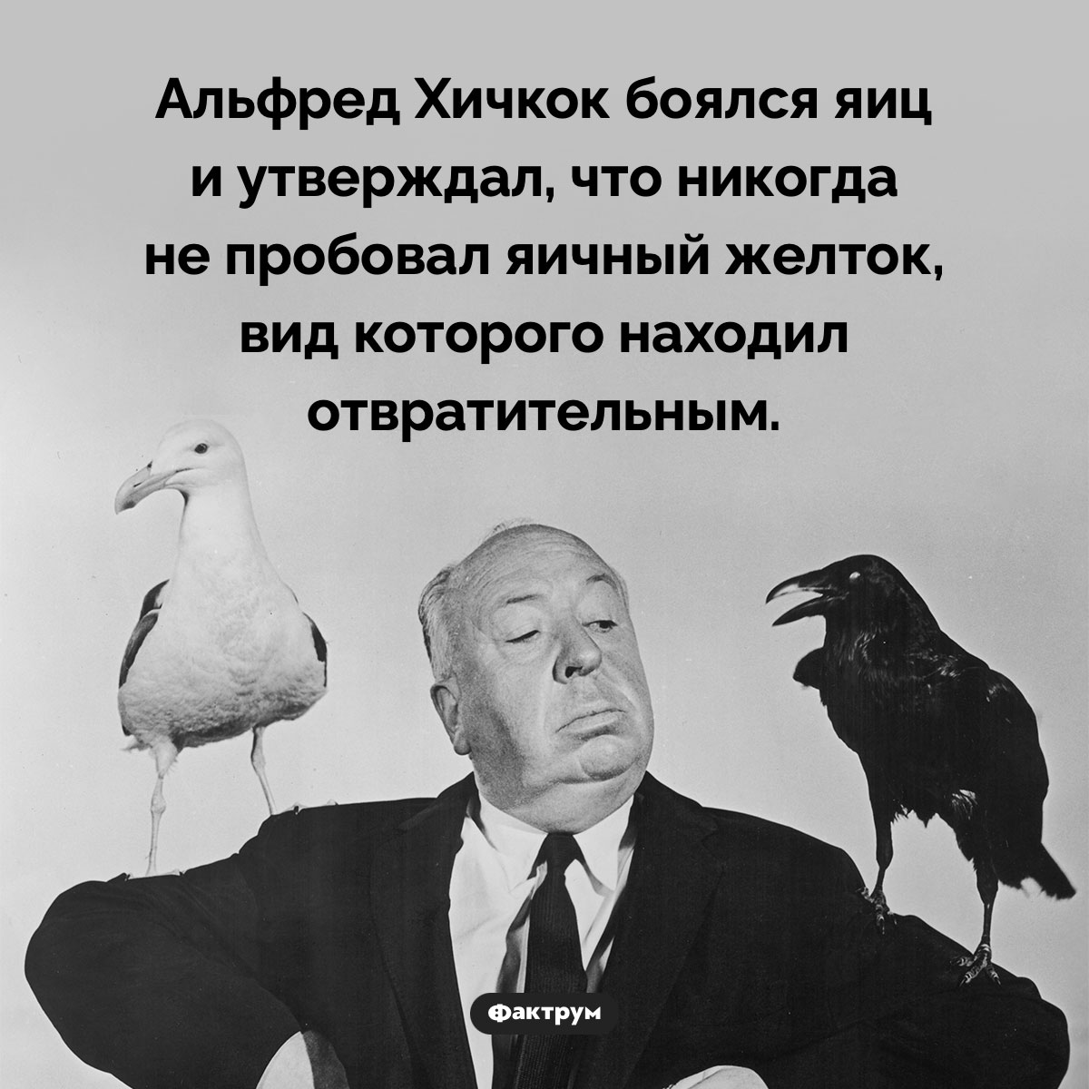 Альфред Хичкок боялся яиц. Альфред Хичкок боялся яиц и утверждал, что никогда не пробовал яичный желток, вид которого находил отвратительным.