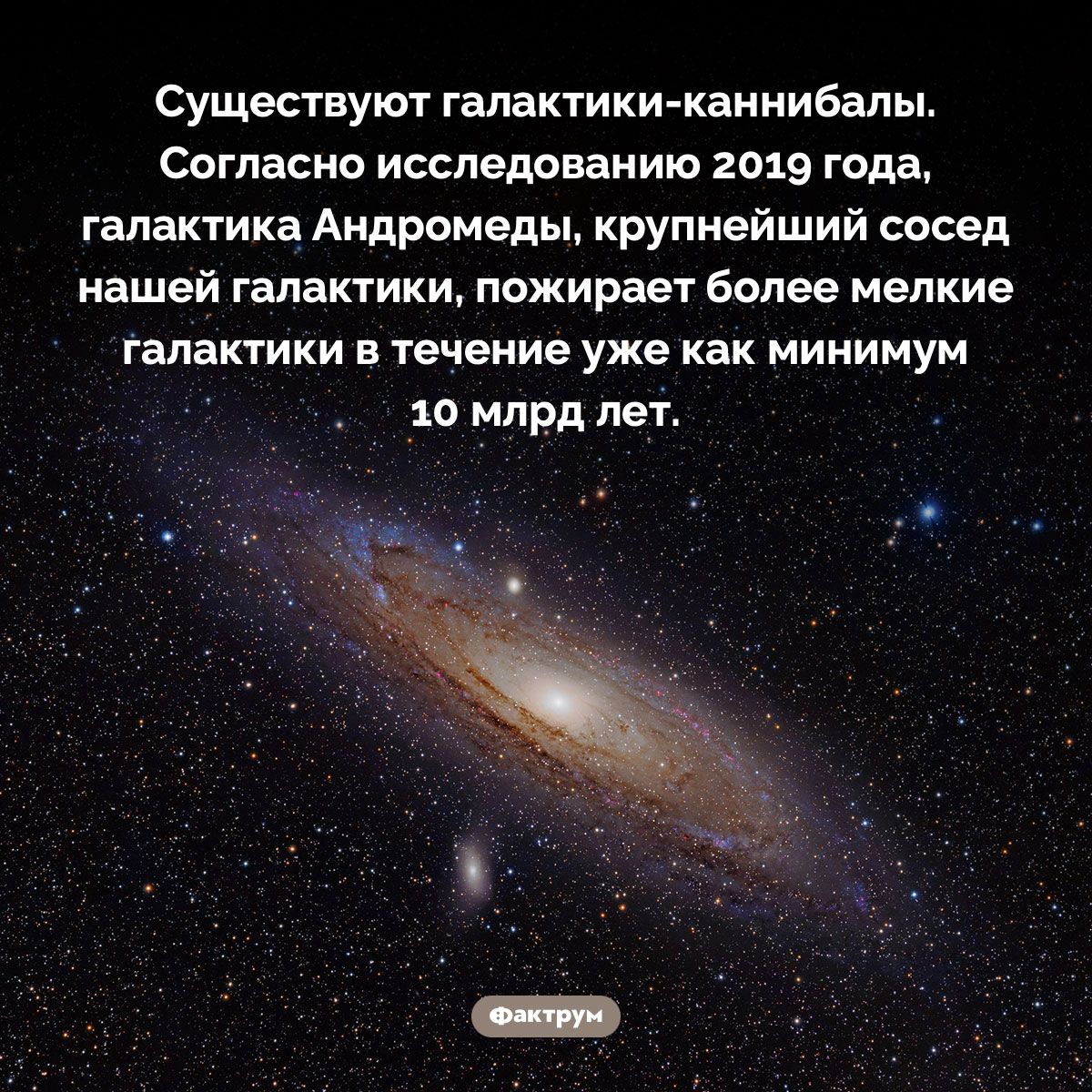 Галактики-каннибалы. Существуют галактики-каннибалы. Согласно исследованию 2019 года, галактика Андромеды, крупнейший сосед нашей галактики, пожирает более мелкие галактики в течение уже как минимум 10 млрд лет.