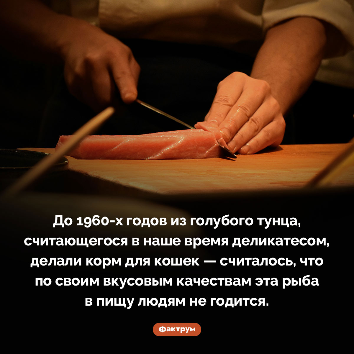 Тунец не всегда считался деликатесом. До 1960-х годов из голубого тунца, считающегося в наше время деликатесом, делали корм для кошек — считалось, что по своим вкусовым качествам эта рыба в пищу людям не годится.