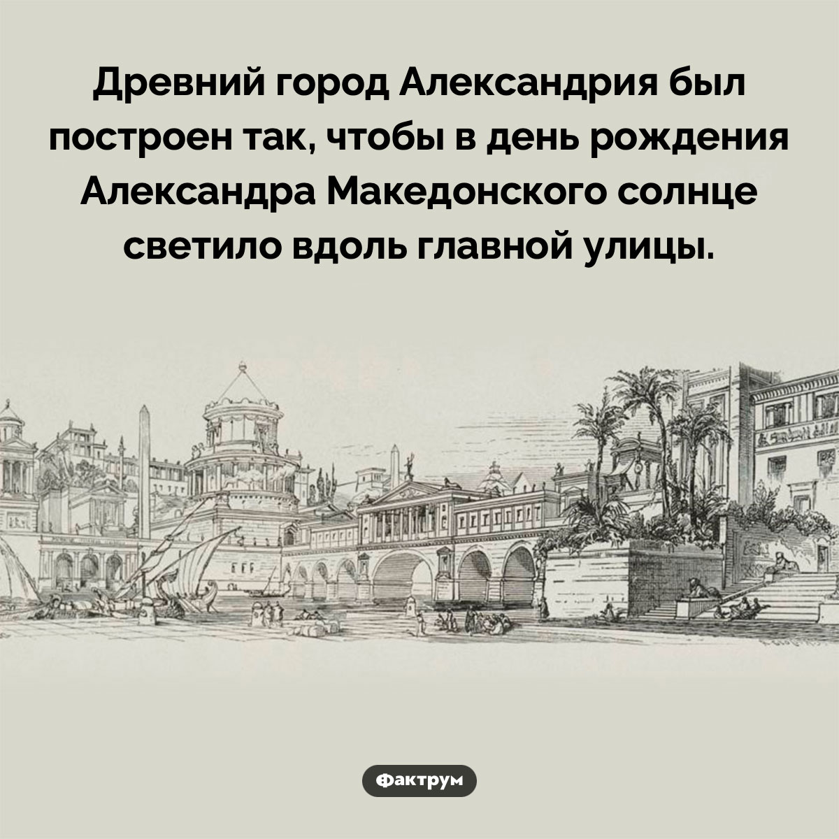 Удивительная особенность Александрии. Древний город Александрия был построен так, чтобы в день рождения Александра Македонского солнце светило вдоль главной улицы.