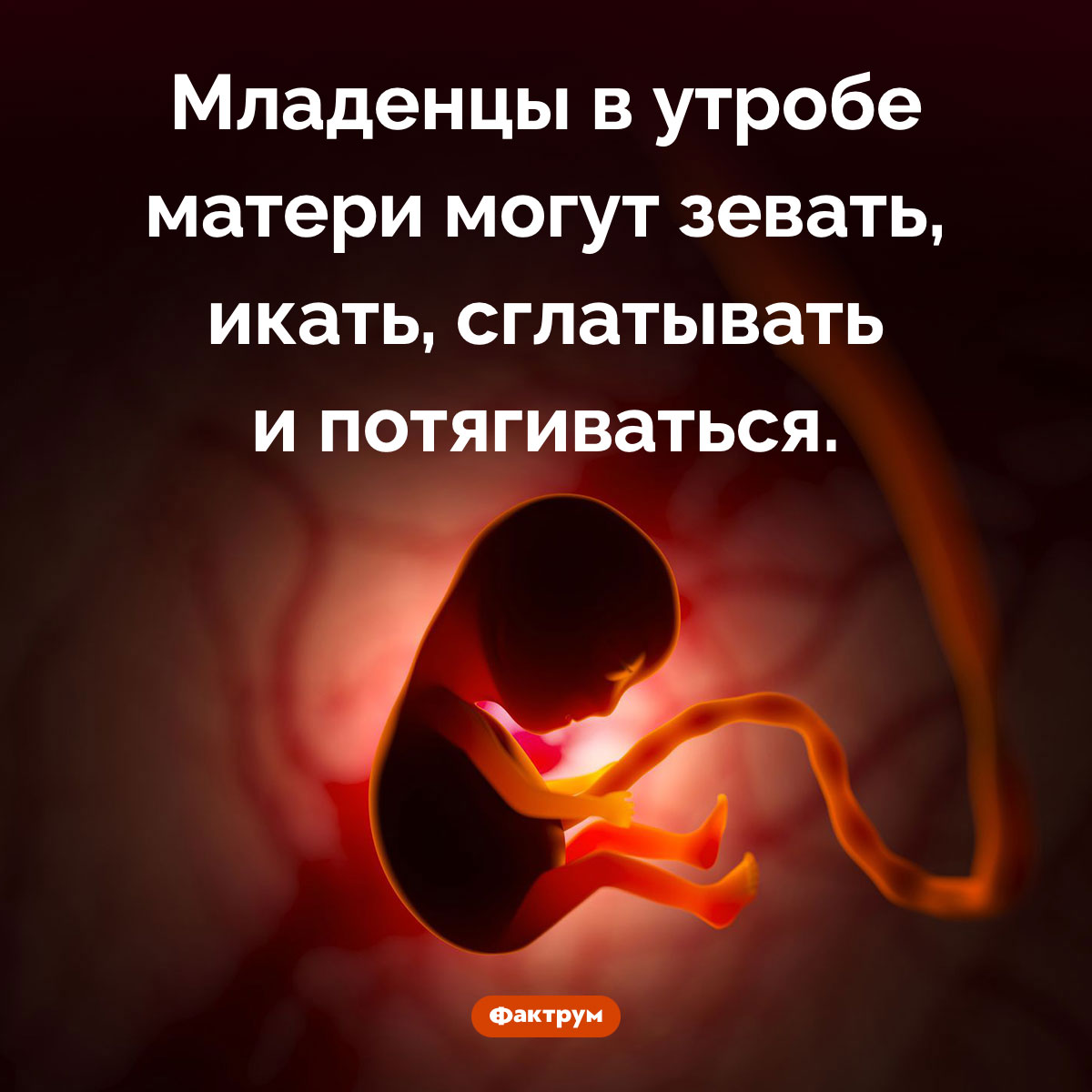 Удивительные способности еще не родившихся детей. Младенцы в утробе матери могут зевать, икать, сглатывать и потягиваться.