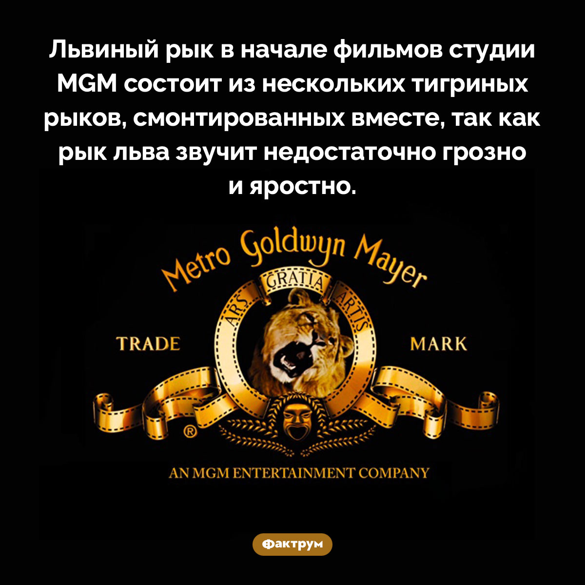 Львиный рык в начале фильмов студии MGM — это тигриный рык