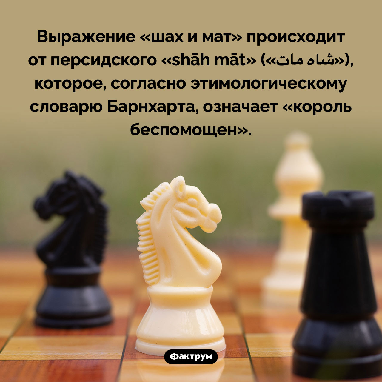 шах и мат манга читать на русском онлайн бесплатно в хорошем качестве фото 57