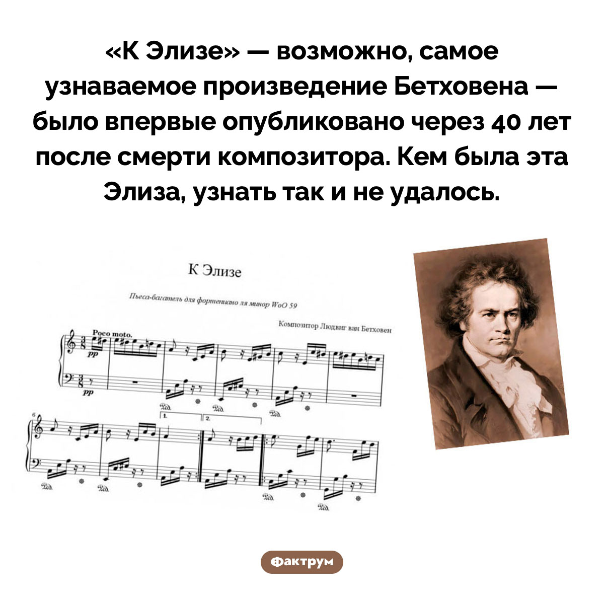 Никто не знает, кем была бетховенская Элиза. «К Элизе» — возможно, самое узнаваемое произведение Бетховена — было впервые опубликовано через 40 лет после смерти композитора. Кем была эта Элиза, узнать так и не удалось.